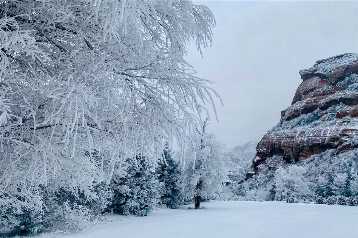 数九寒天火石寨雾凇美成画