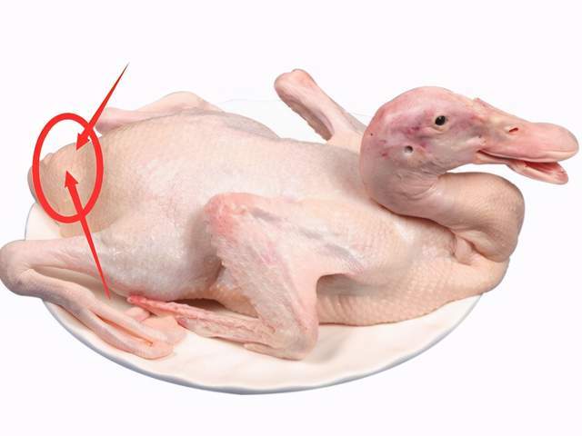 如果"鸭骚"不去,怎么做味道都很膻_鸭子