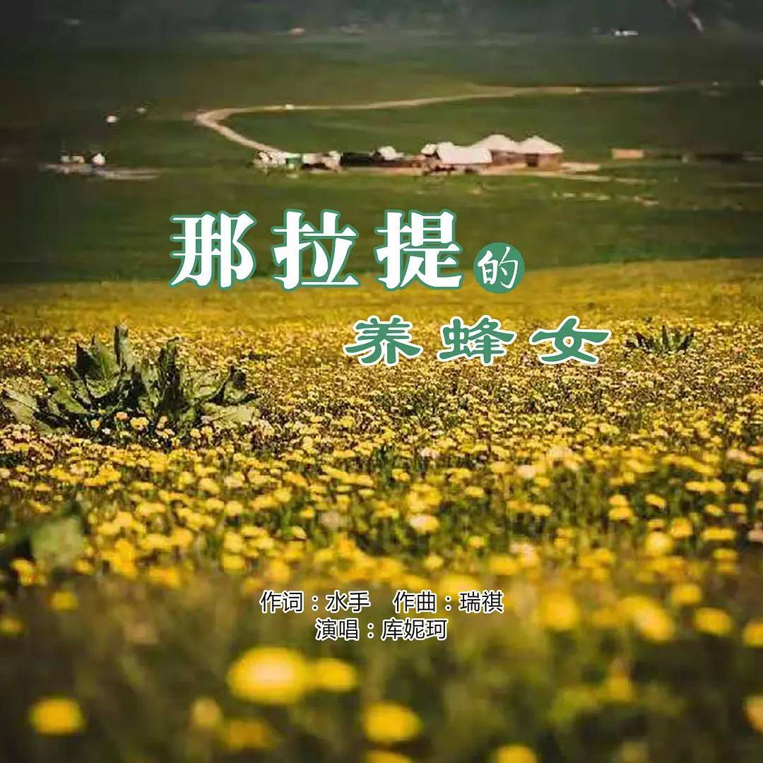 现象级歌曲可可托海的牧羊人情侣档那拉提的养蜂女爆红