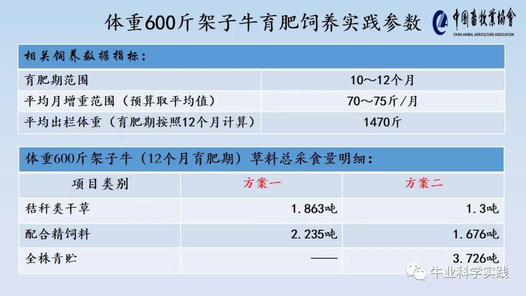 【牛票供應鏈】中國肉牛育肥飼養生產實踐參數