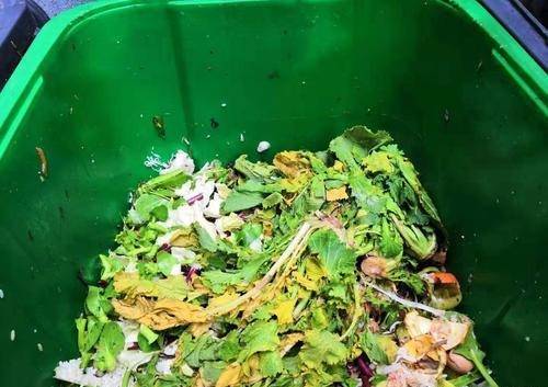 垃圾分类厨余垃圾成主导地位