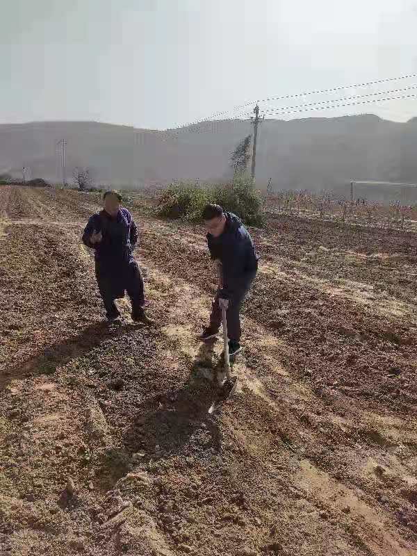 不忘初心警徽闪耀扶贫路记灵宝市西闫乡水泉头村第一书记郭战宾