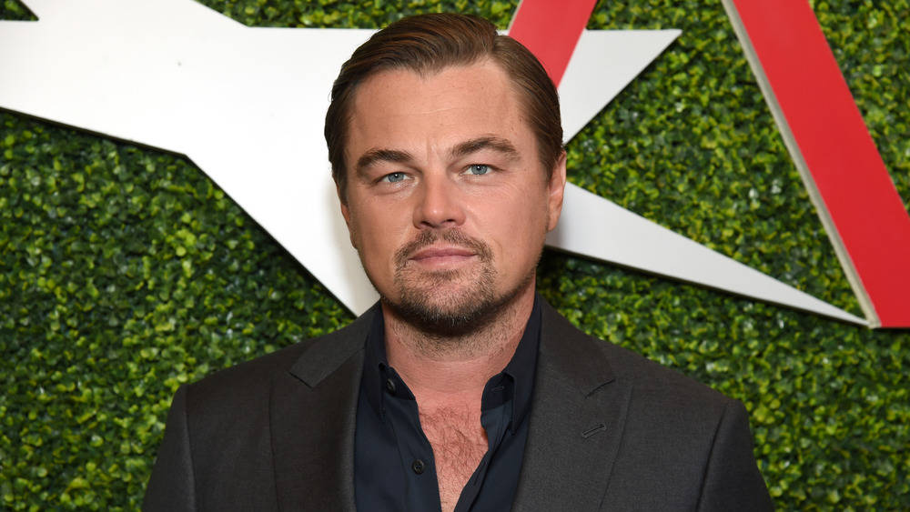 莱昂纳多的阴暗面未交过23岁以上的女友万人迷的多副面孔