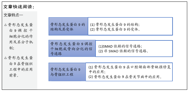 骨形态发生蛋白9调控干细胞分化与骨再生