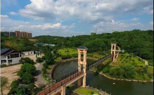 随后跟随工作人员来到了小区最北面,虎形山公园就在这边,真的特别近