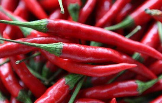 要说到广西的辣椒,那么可少不了天等的辣椒.