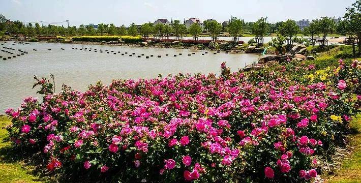 2021闵行新城千禧公园新楼盘最新信息优惠价格售楼中心地理位置