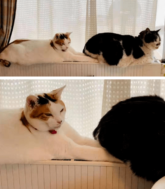 什么叫代沟啊 3b3c02535a57437e97455f7116759390.png