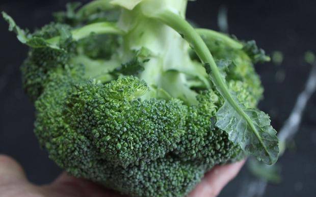 如何挑选西兰花最好 f254f82151764361ad116d965cd04c6c.jpeg