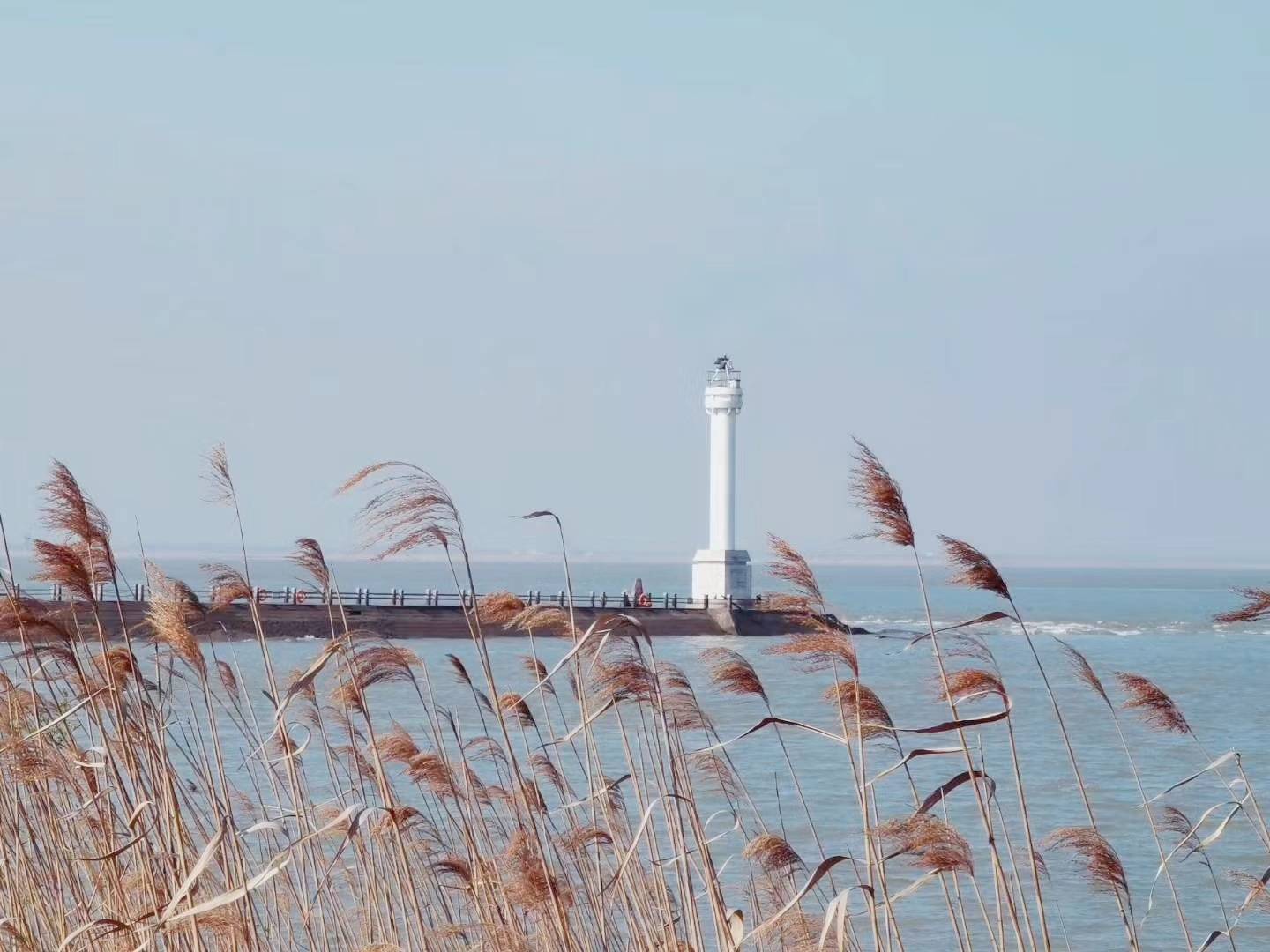 今年春节“就地过”，你准备好了吗？