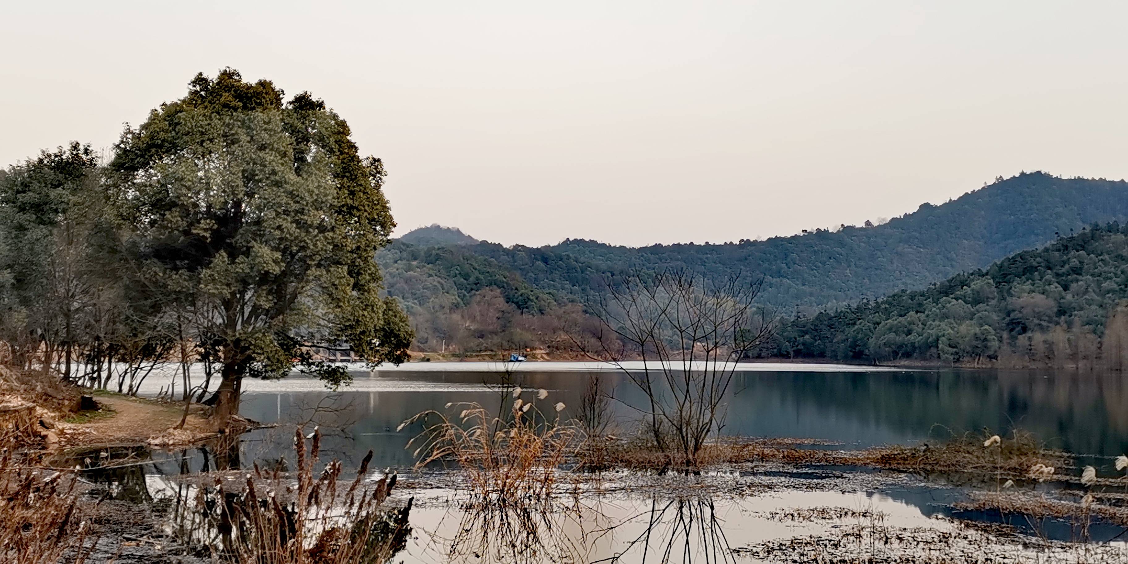 长沙梅溪湖区域新增一处森林公园:象鼻窝森林公园