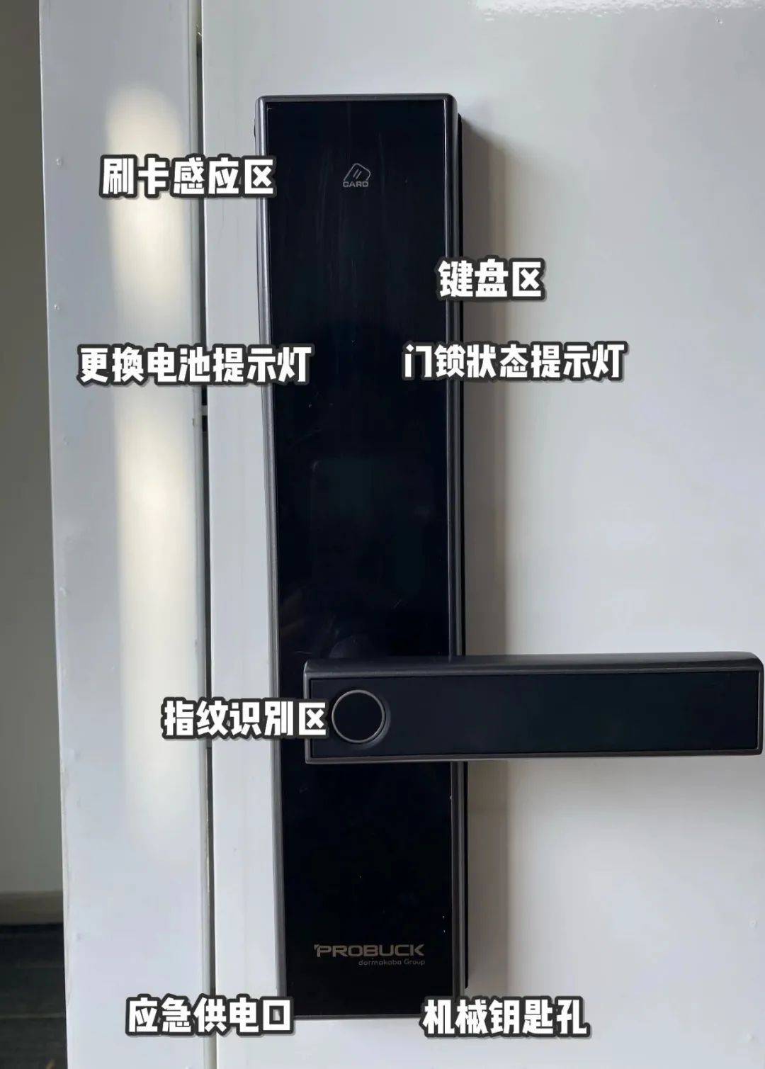 85114ee71f814d1eaef650530df2de71.jpeg