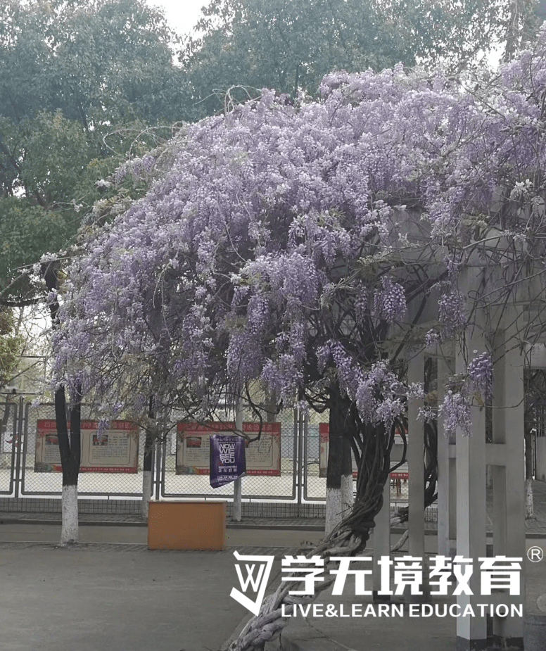 你会不会忘记这所曾经辉煌过的——襄阳四中老校区