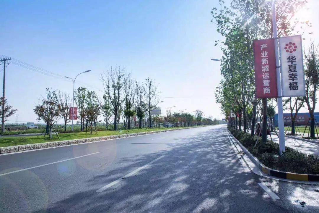 舒城有多少人口_舒城中学图片