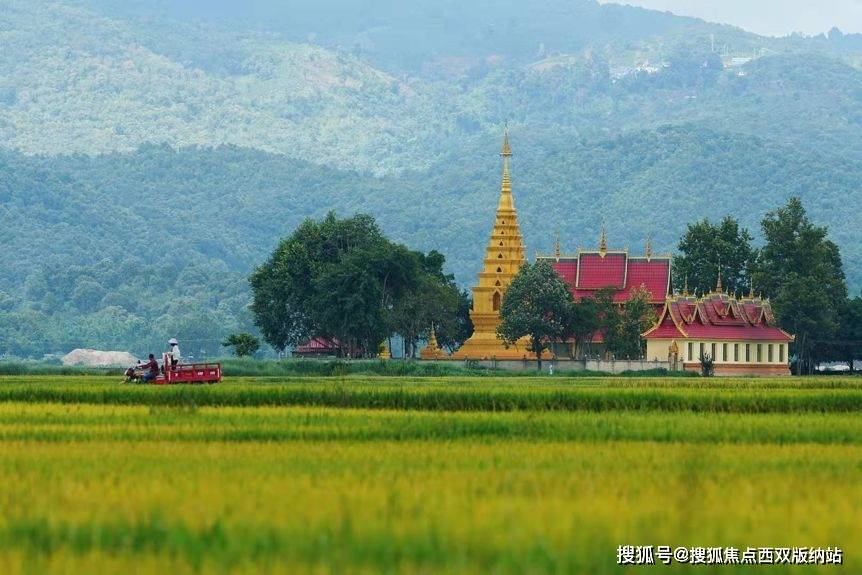 旅行达人向粉丝告白—私藏“理想定居地” 西双版纳