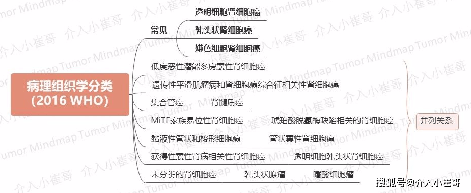 腫瘤思維導圖18期腎癌csco2020診療指南