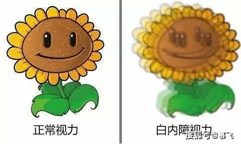 怎么晒太阳对眼睛好 eb2b232011d747668969a7b182bb3cd4.png