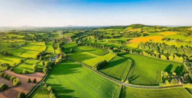 如何推进农业农村高质量发展?_手机搜狐网