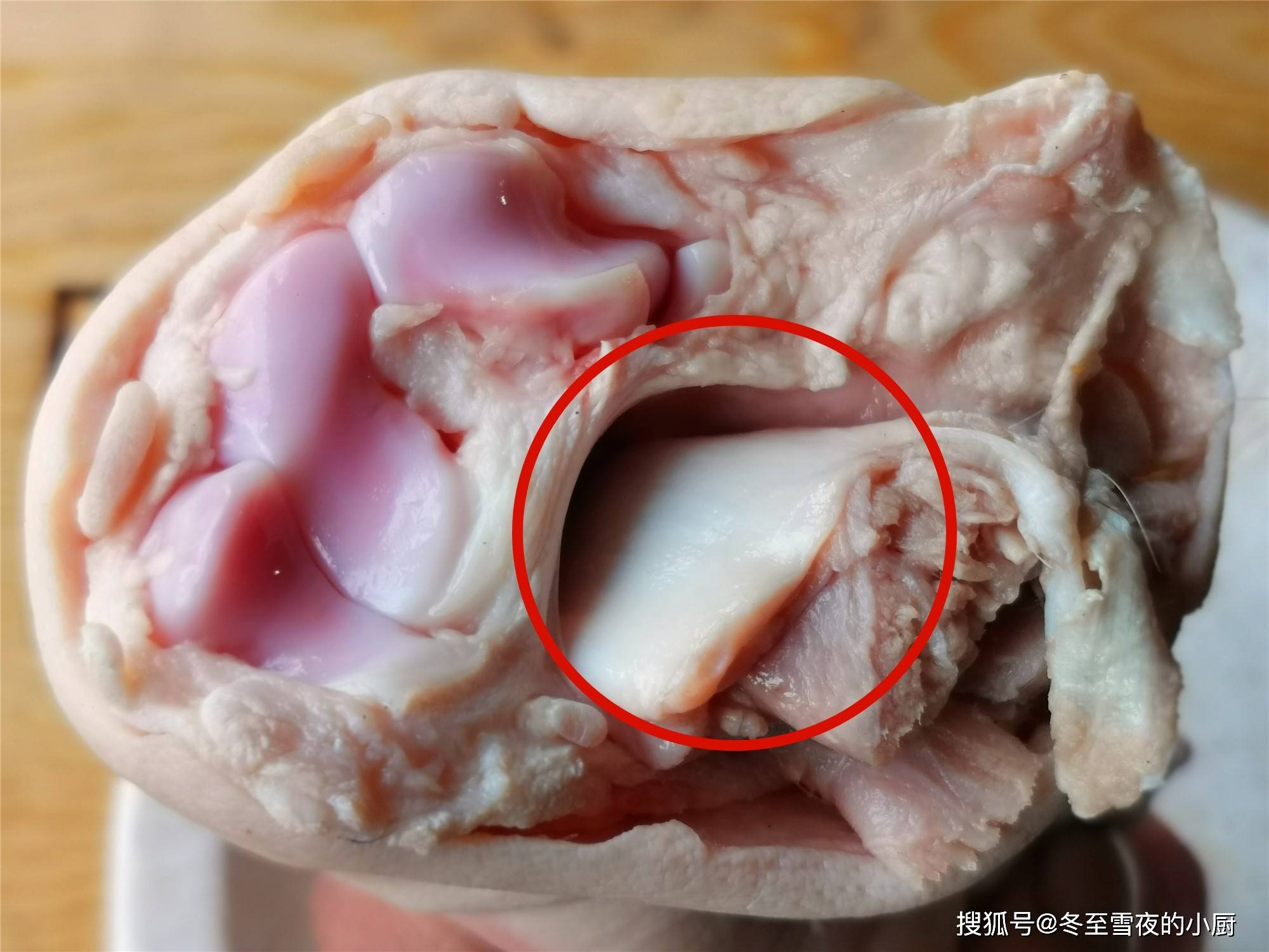 猪前手,猪前手一般是弯曲的,比较发达,肉多,皮厚,个头比较肥大,能看见