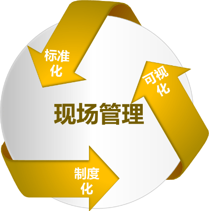 标准化管理是指什么