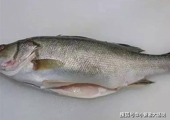 蒸鲈鱼怎么切好看 3cab7ef931994afca93c5e1ac4f14e72.jpeg