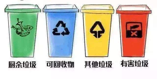 什么是四磨汤 a2496622bdc546efa7371da214feaae5.jpeg