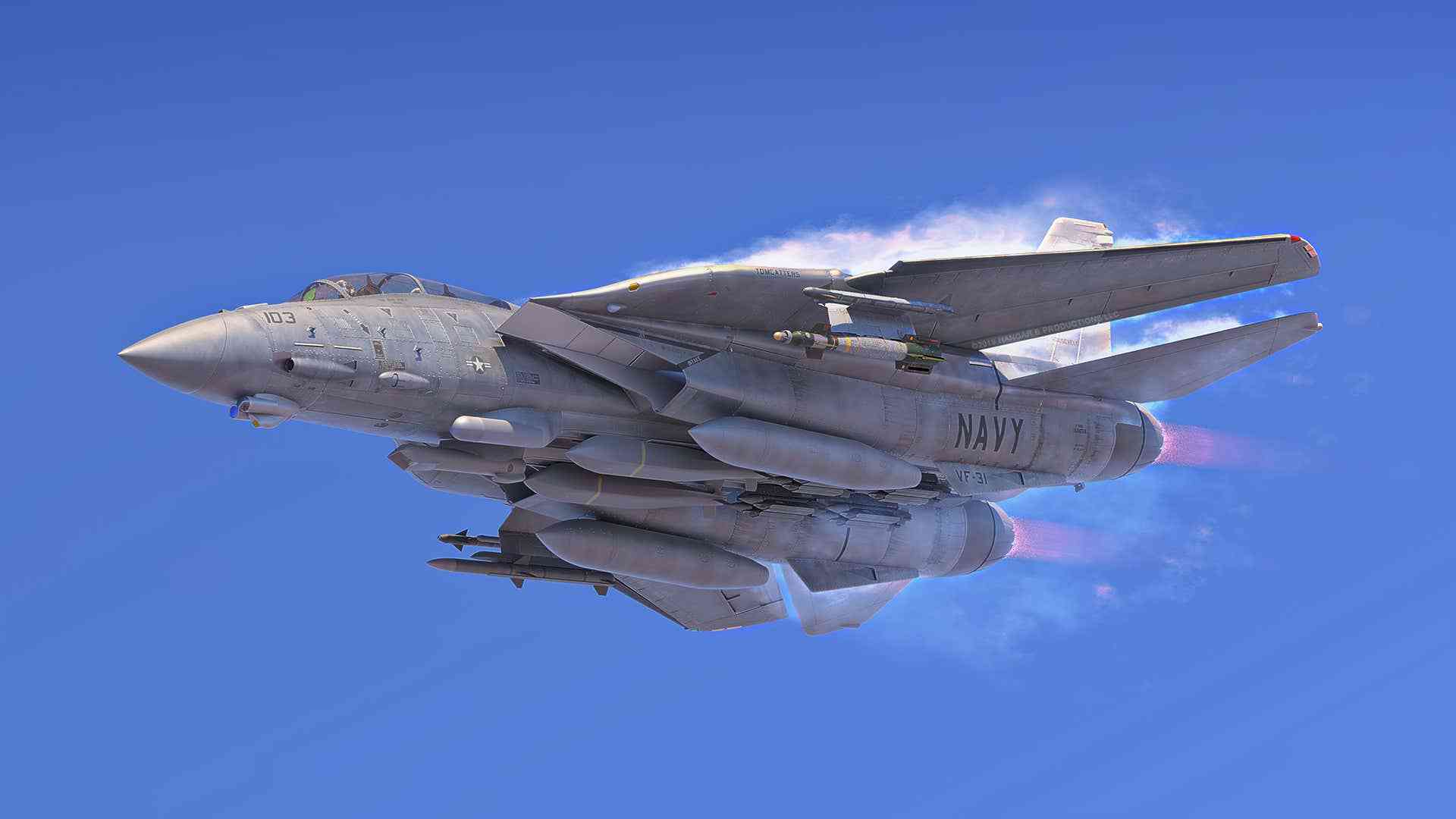 f14雄猫战斗机隐身版图片