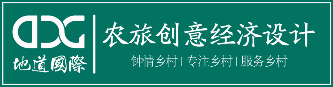 她的发现，才有了今天她乡村振兴的基础！