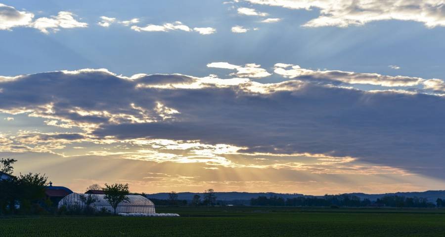 网红家电一时爽，海尔美的海信格力容声等经典方能持久-家电圈官网