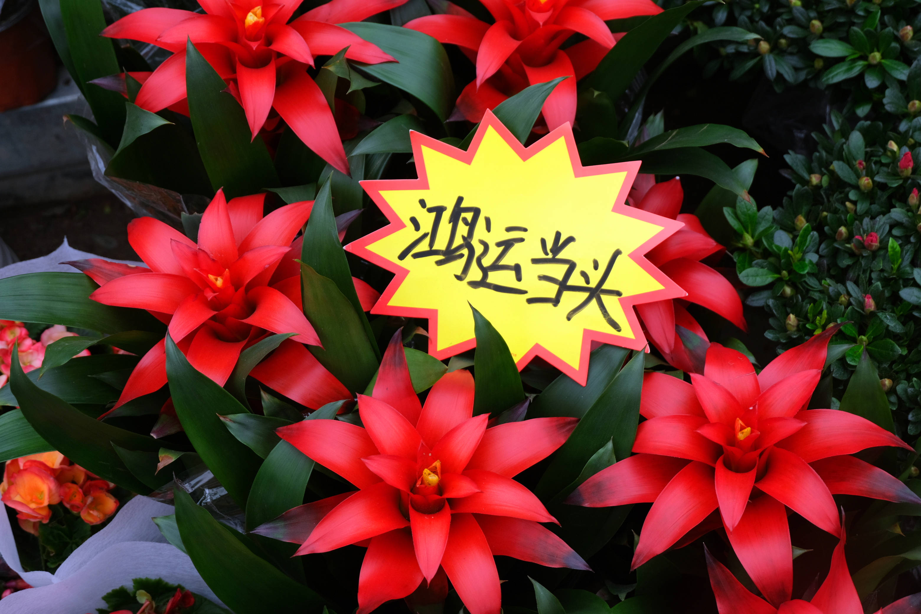 2cb7ccc85d3044d9a3a4145e9bfb6784.jpeg