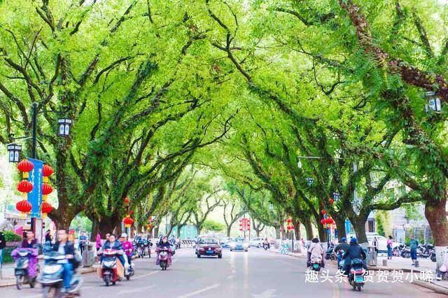 这里才是桂林风景的精华所在，路线轻松美景又多，超适合带父母去