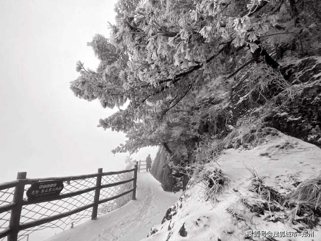 雪后的老君山惊艳了整个冬天