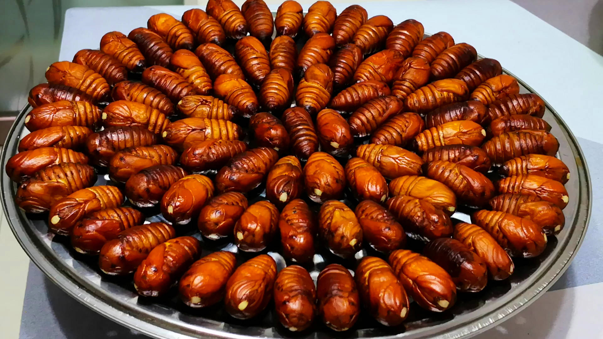 过年买蚕蛹,选"黑的"还是"黄的"?差别大,弄懂再买不被忽悠