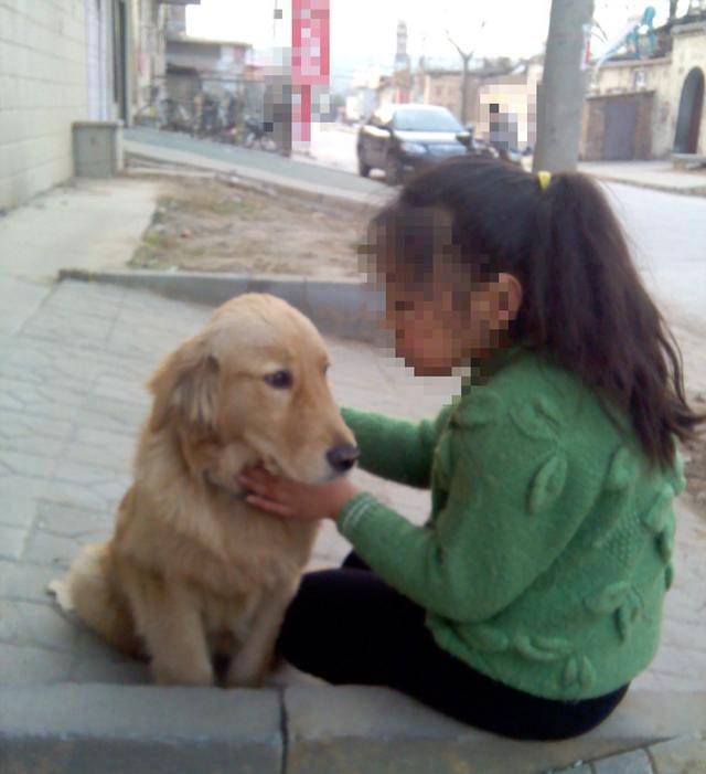 金毛把鄰家小孩子嚇哭，孩子卻愧疚的對狗狗主人道歉！ 萌趣萌寵 第3张