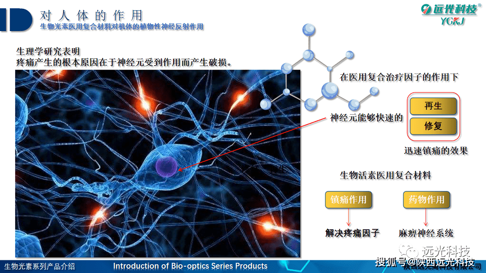 4,生物复合医用材料层:5-25 08m的生物能量波,可渗透皮下3-5cm,有效