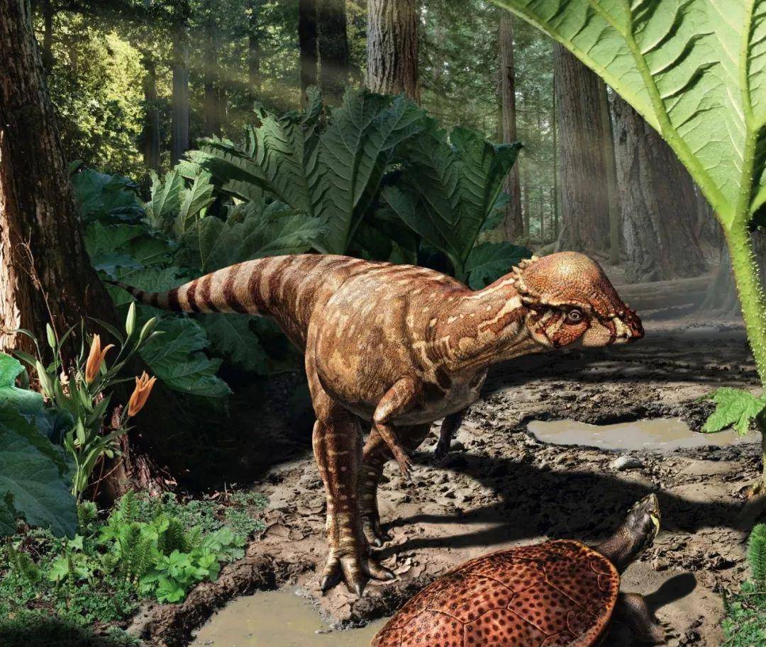 盘点古生物学家近十年内对于恐龙的9大最新发现