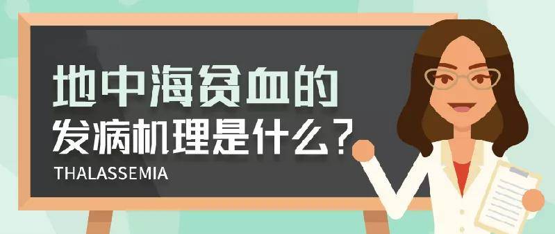 地中海貧血的發病機理因何而來