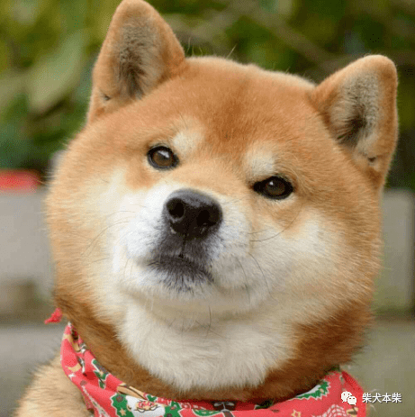 b52bfceeec014e68b28d42828c222c76.png
