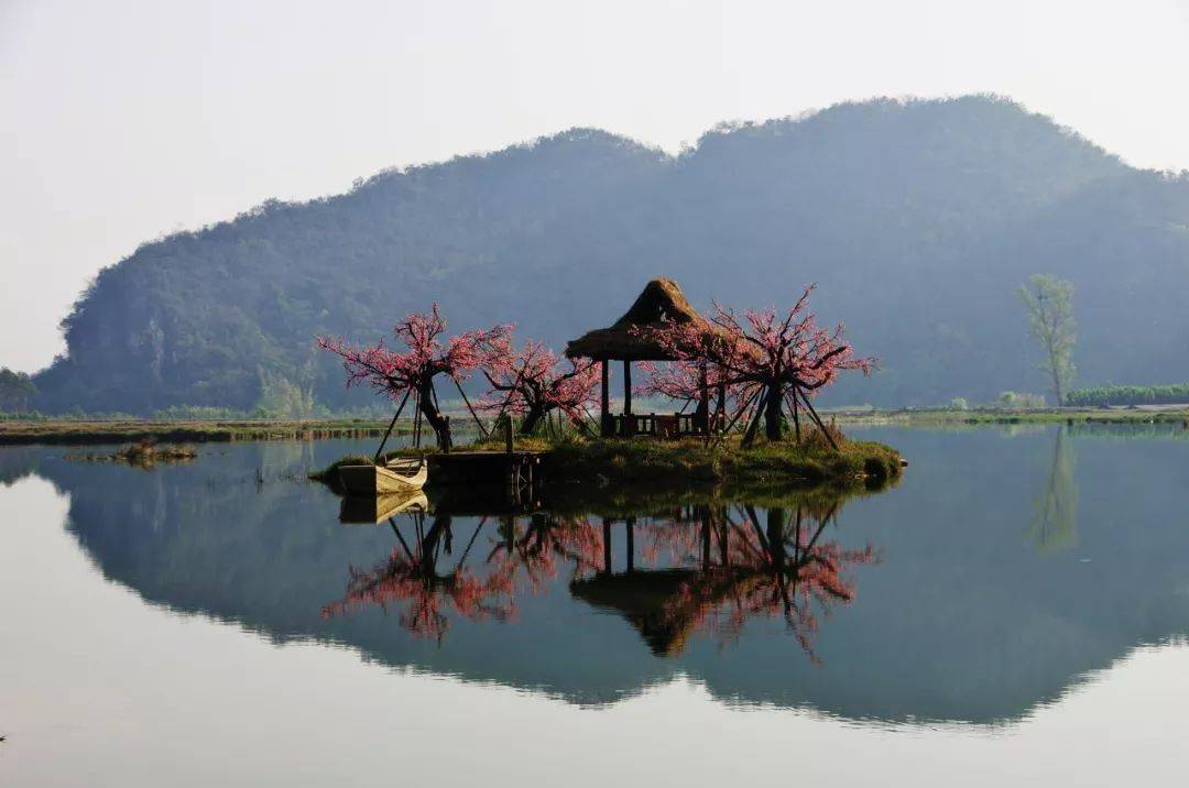 《三生三世十里桃花》中的青丘仙境,就是在這裡取景.