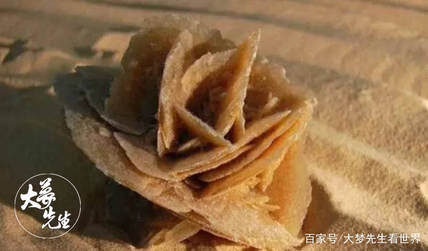 为什么沙漠中的“玫瑰”可以随便捡，但“西瓜”却绝对不能碰？