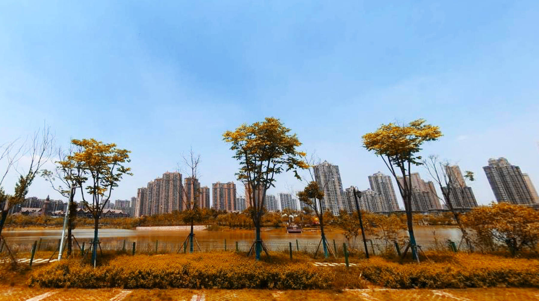 打卡武汉城区最僻静湿地公园：被7个小区包围，环形设计是亮点