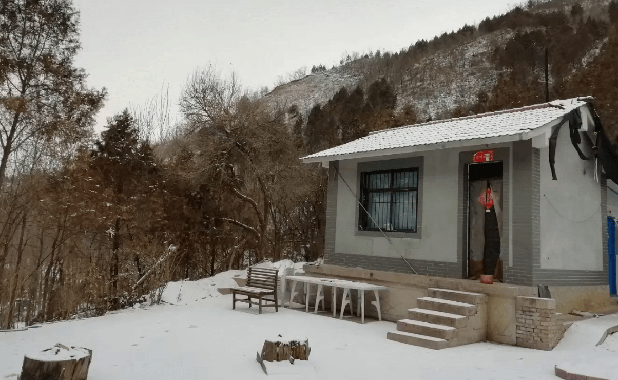 雪地里发现只剩1只狼狗 任凭它自生自灭了 可怜它还在看家护院 狗狗