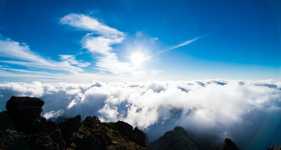 家电业2020年业绩渐出炉，美的格力海信TCL老板都在投资未来-家电圈官网