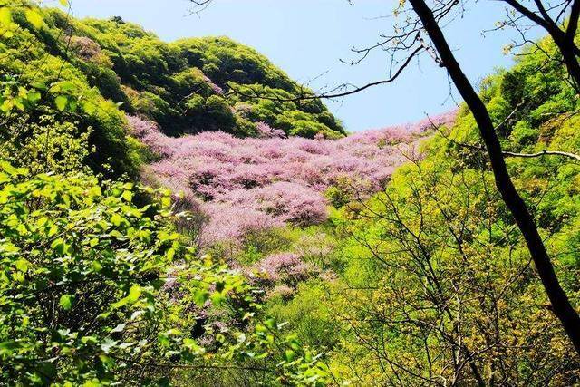 西安周边的这些“野山”，不但风景优美，还不要钱