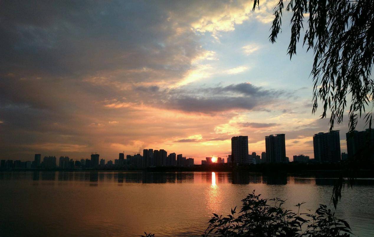 武汉最可惜的湖泊，20年面积缩减了90%，曾是市内第二大城中湖