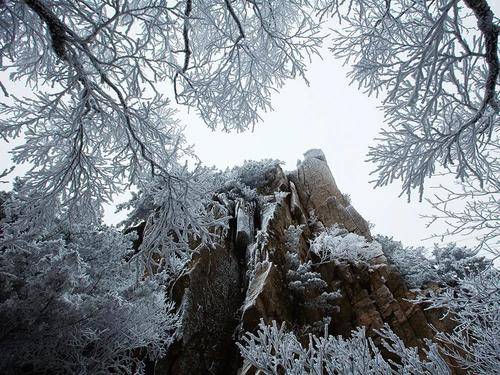 为什么“洛阳城”敢与故宫比雪景？白云山、老城别有洞天！