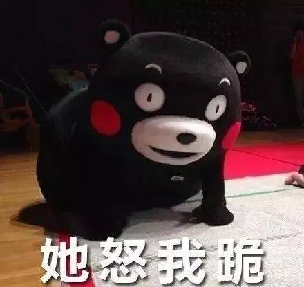 a78606abf68a4a8f88cc7a557869b947.jpeg