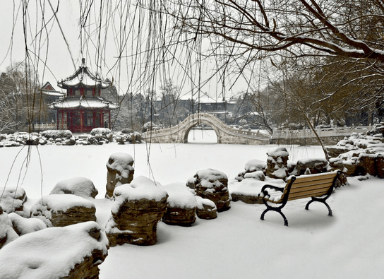 迎新春，云游古城（1）：当初雪遇上千年古城保定——古莲花池