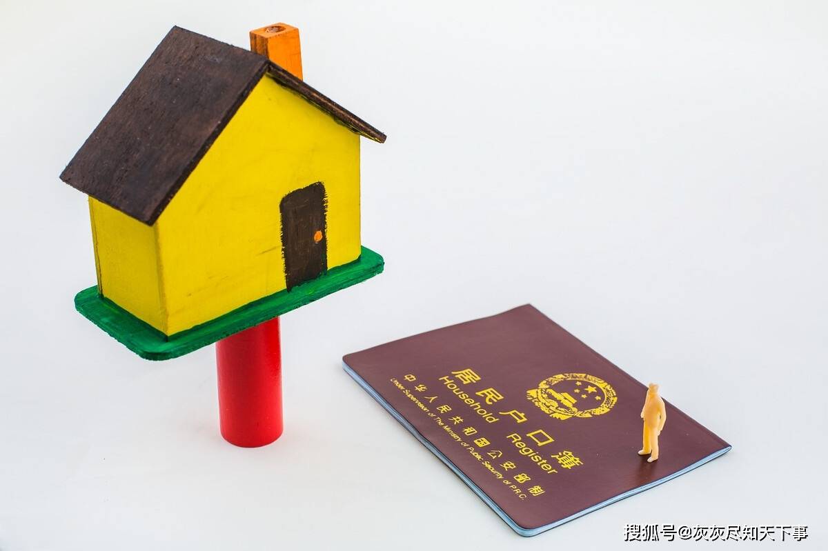 人口流动的影响_流动人口婚育证明图片(2)