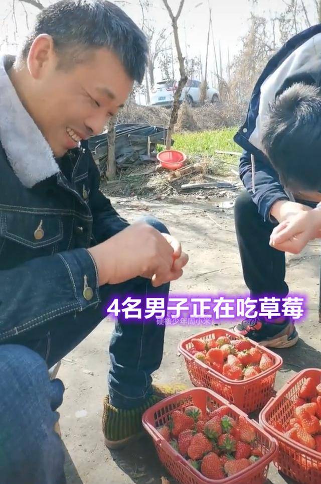 湖北襄阳：4名男子去摘草莓，50元一斤嫌贵，“当场吃了10斤”